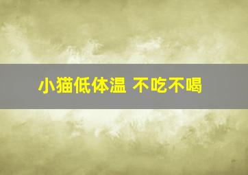 小猫低体温 不吃不喝